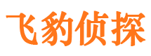 海南区市私家侦探